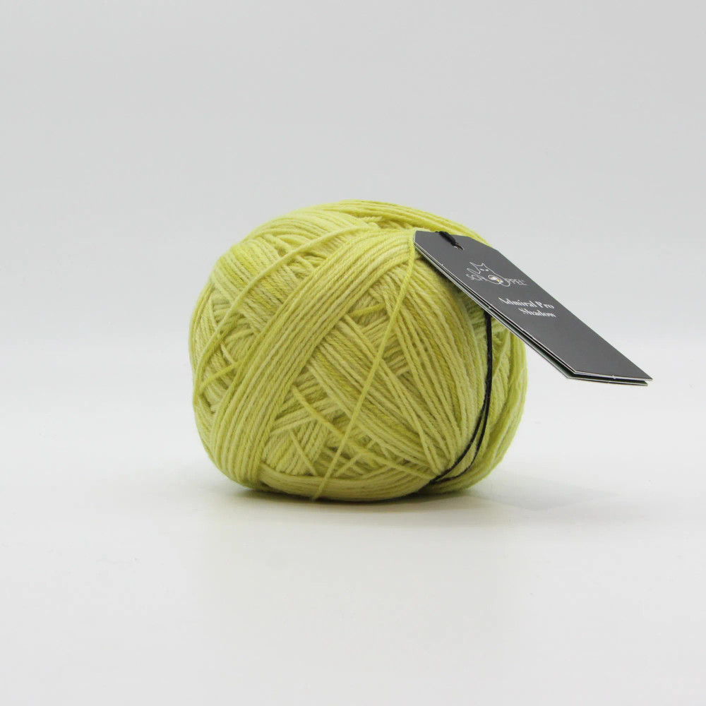 Admiral Pro Shadow Schoppel